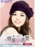 缉拿小逃妻
