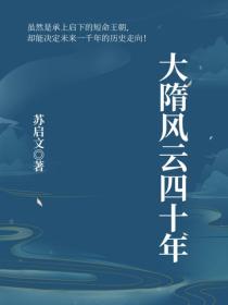 大隋风云四十年